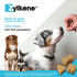 Zylkene Calming Chews For Medium Dogs 10-30kg