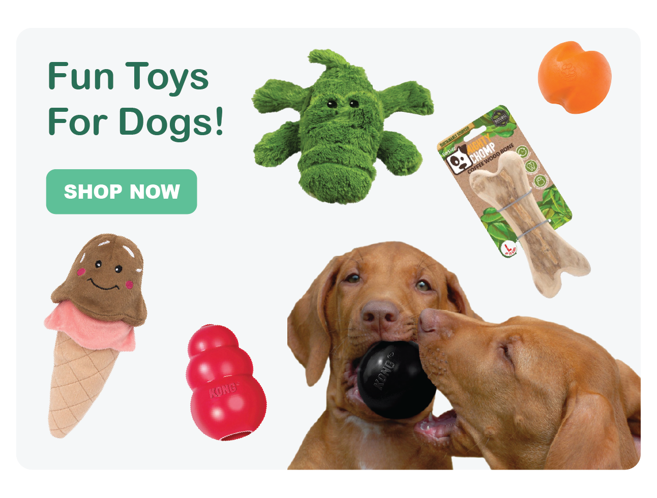 Dog Toys