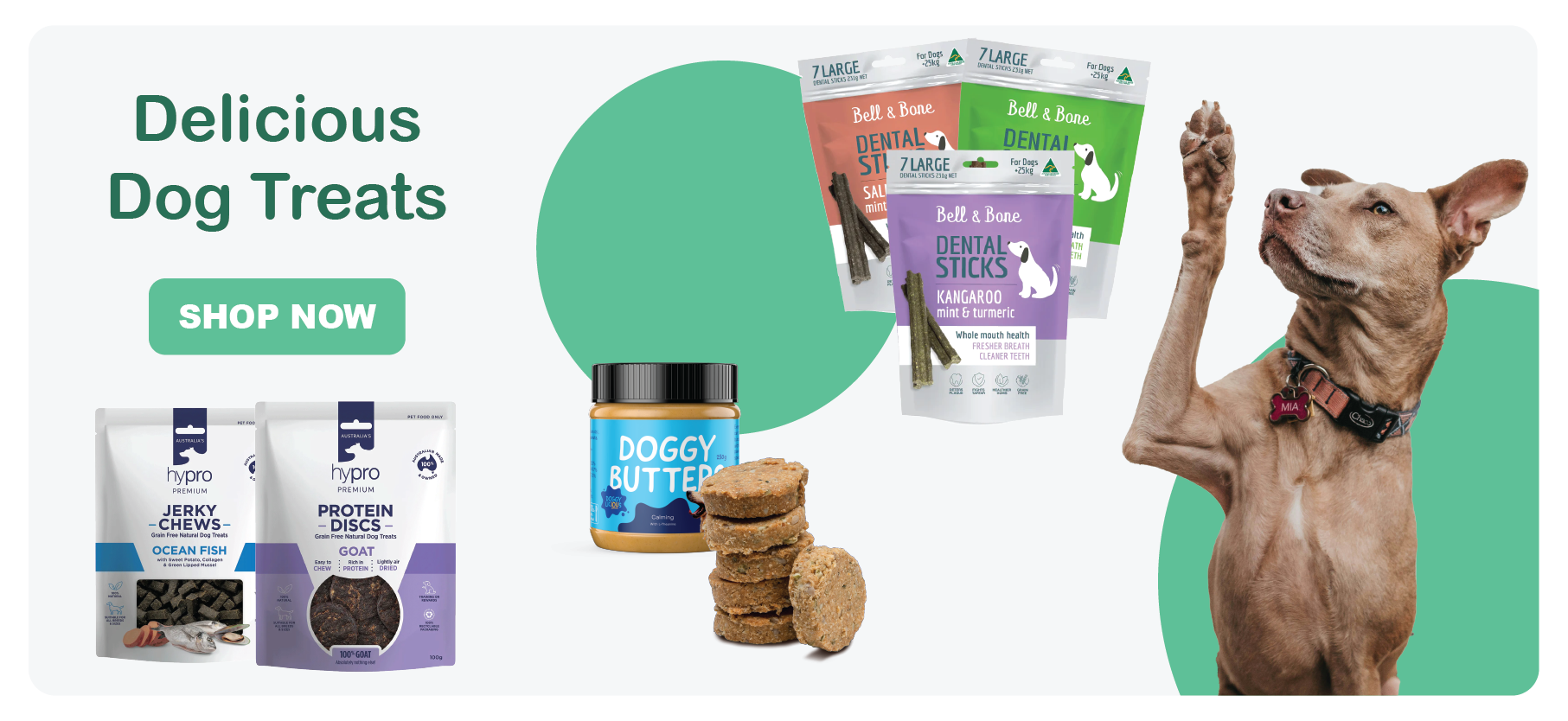 Dog Treats