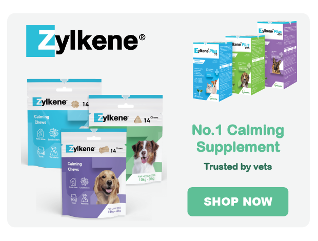 Zylkene no.1 calming supplement for cats and dogs, trusted by vets to treat anxiety and stress