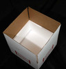 11x11x6 Insulated Shipping Box with 1/2" Foam 96 Pack