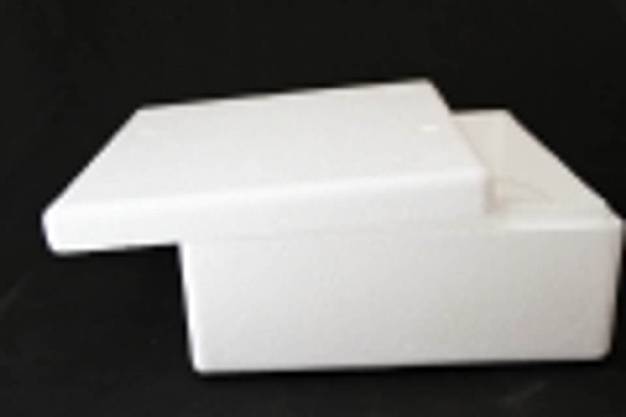 EPS Foam Molded Shipping Boxes