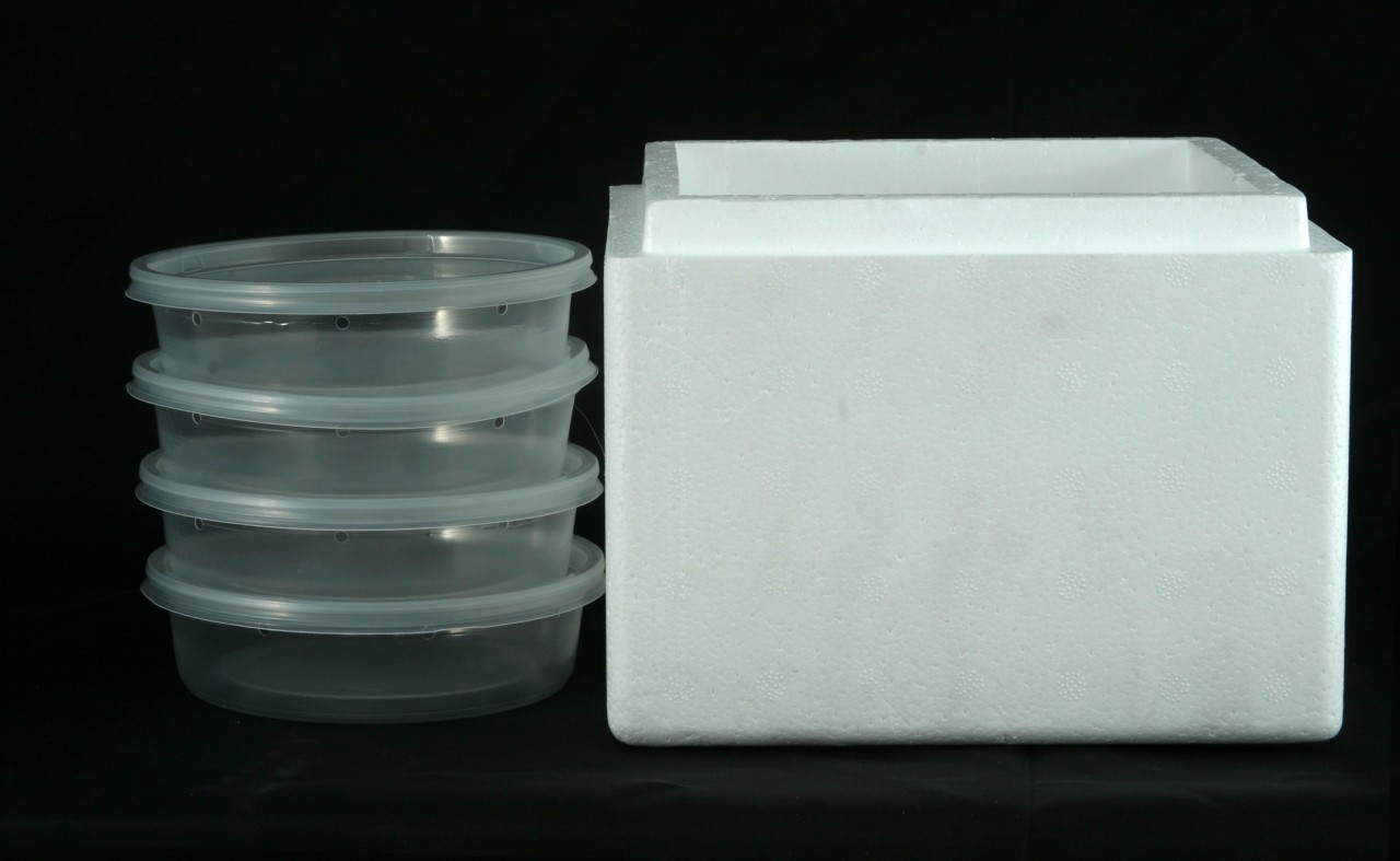 30 Styrofoam Liners - fits 7x7x6, USPS Box4 - Insulated Shipping Box - ⅝  Wall