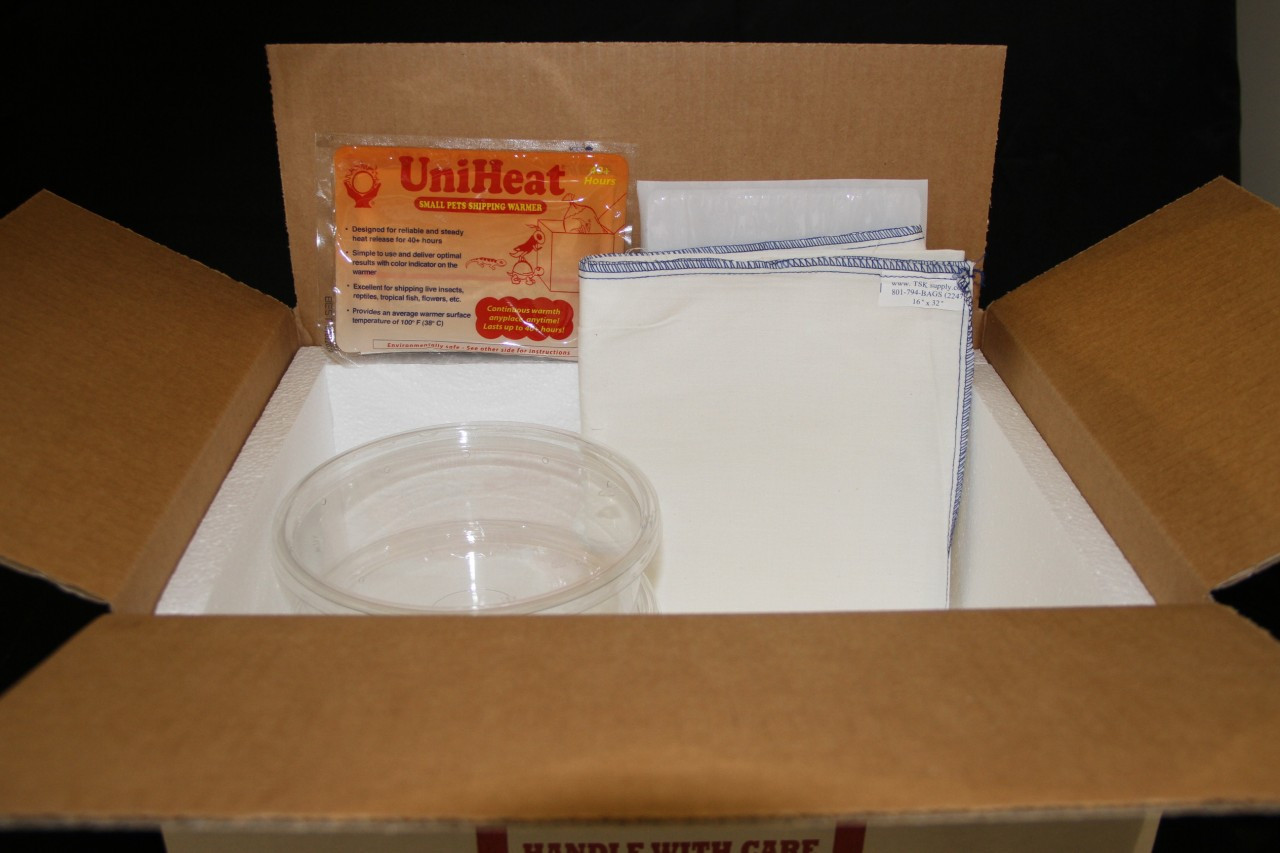 16x16x8 Insulated Shipping Box 1/2 Foam 8 Pack