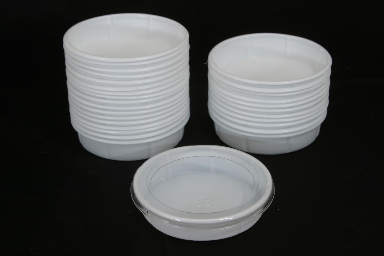 Small Worm Dish 50 Count