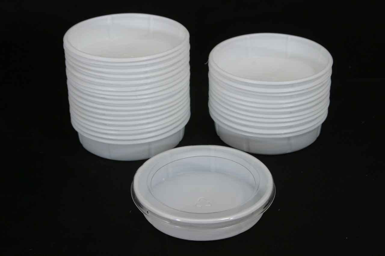 Small Worm Dish 500 Count - TSK Supply