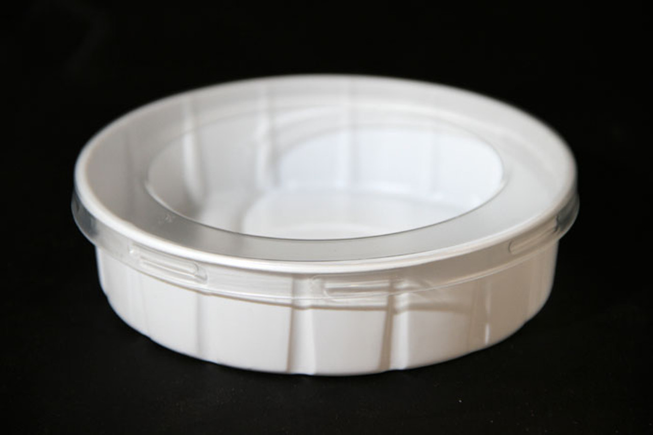 Large Worm Dish 25 Count