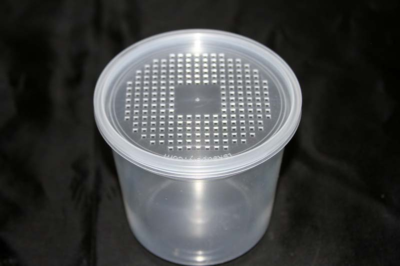 Wire Screen Waffle Lids Deli Cup Lids - Vented for insects - USMANTIS