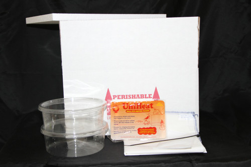 reptile boxes for sale