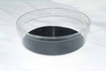 Cup Liner 6.75" BLACK 500 Count