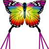 ECOLINE BUTTERFLY KITE RAINBOW