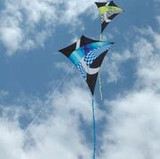 65" Borealis Sky-Shark Diamond Kite - Neon Tronic