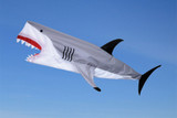 Scary Shark Windsock