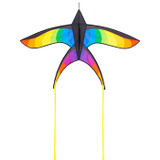 SWALLOW KITE RAINBOW