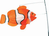 Swimming Fish - Clown Fish