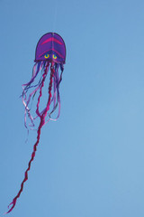 Cool Jellyfish Sea Creature