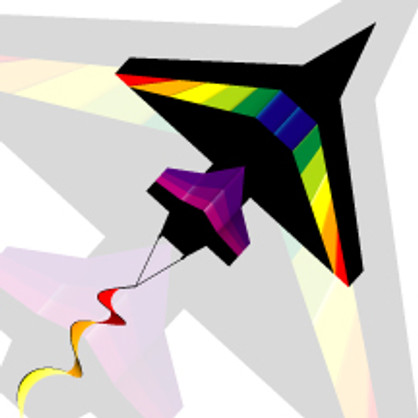 2D Black Rainbow Airplane Kite