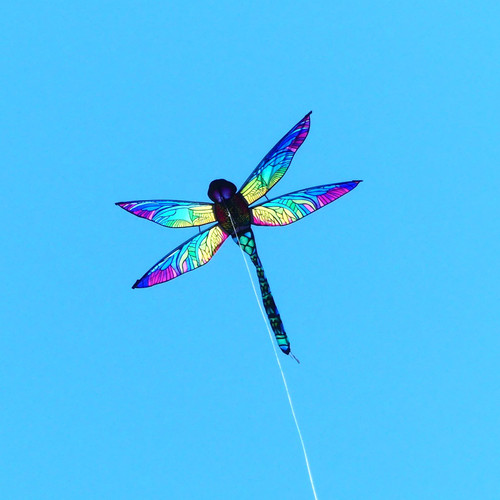 Dragonfly Rainbow Glimmer