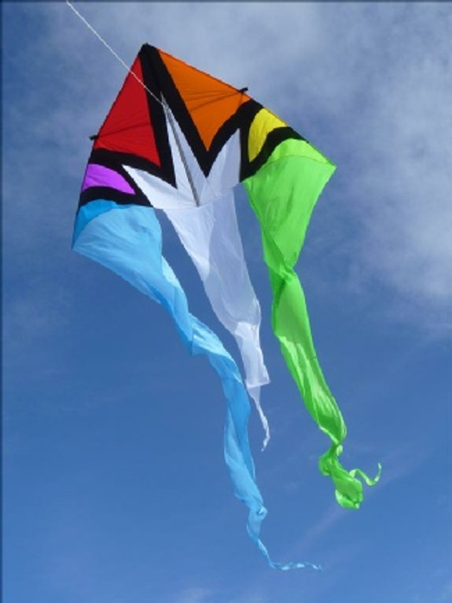 Flo Tail 13' Delta Kite - Rainbow Burst 