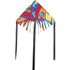 24 in. Fringe Delta Kite - Orbit