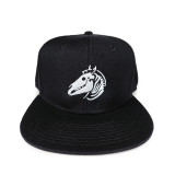 Dead Zebra Logo Snapback Cap