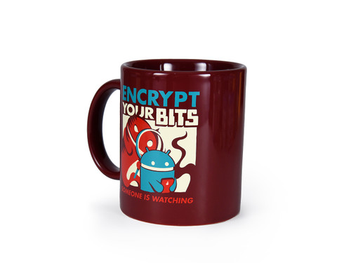 Encrypt Your Bits Mug
