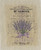 Mme Damour Lavender (Vertical)