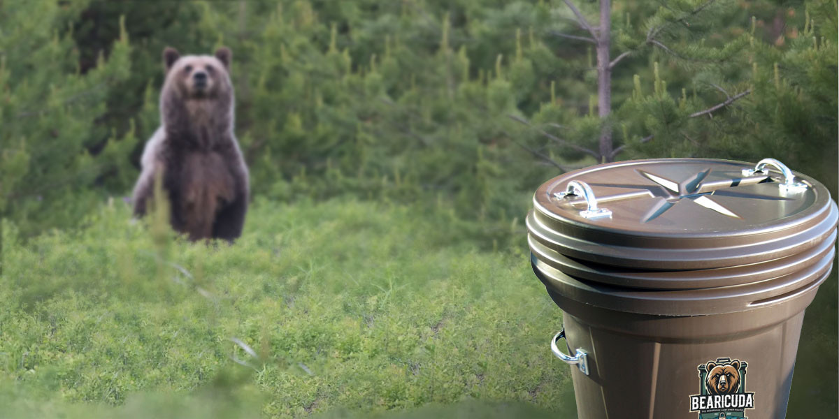 Living In Harmony With Bears