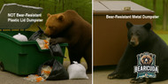 Metal Bear‑Resistant Dumpsters vs. Plastic Lids