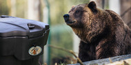 Bearproof Trash Cans vs Bear Resistant Garbage Cans