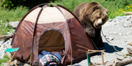 Food Storage and Camping Tips in Bear Country