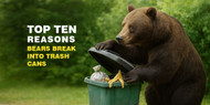 The Top 10 Reasons Bears Break Into Trash Cans