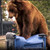 Fortress 65-Gallon Bear-Resistant Trash Can Cart