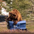 Fortress 95-Gallon Fully Automated Bear-Resistant Trash Can Cart