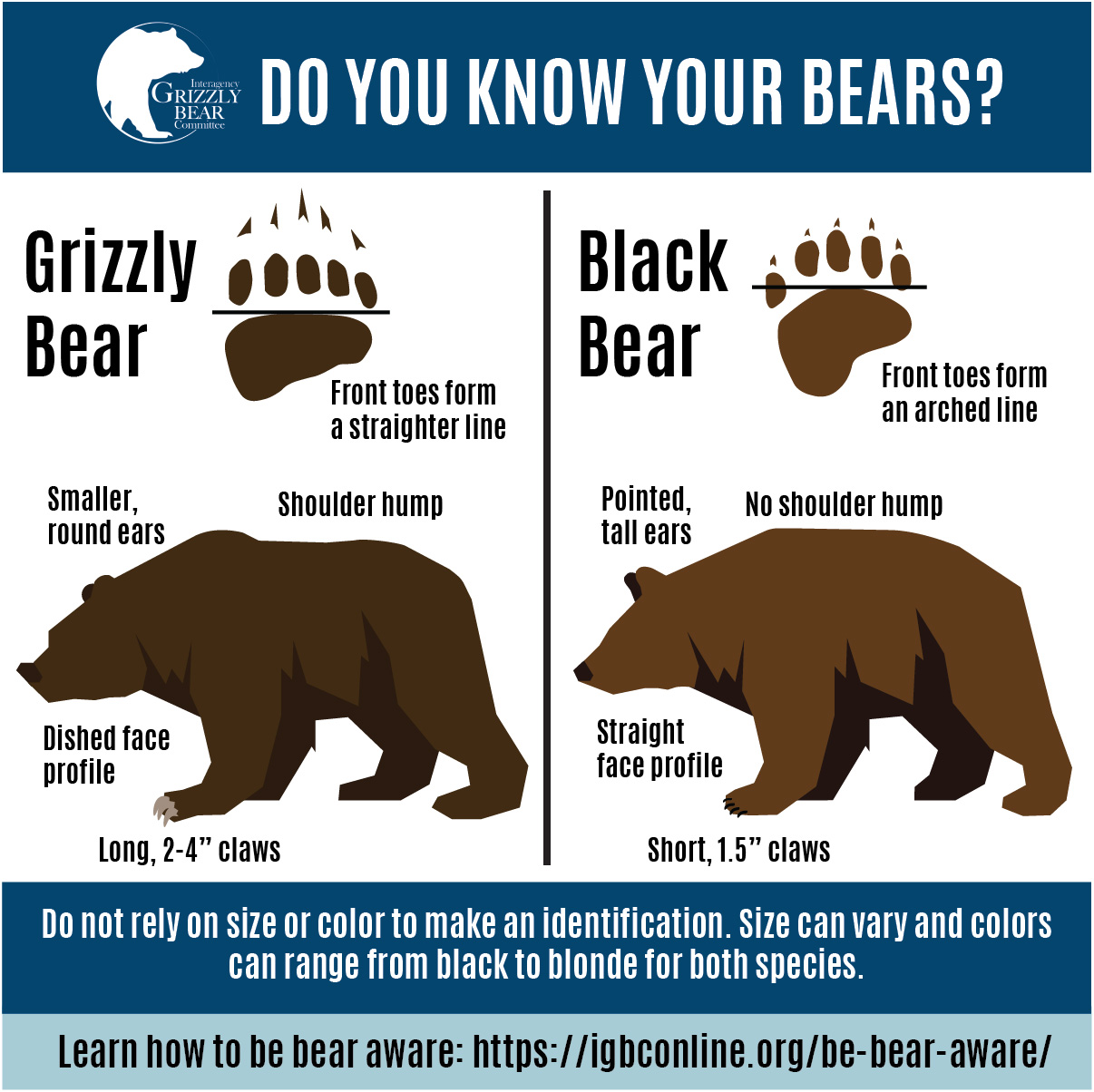 Warning signs there are bears nearby - Bearicuda Inc