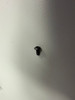 Colt 6940 Cam Path Insert Torx Screw