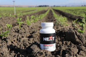 NextLevel No Guts, No Glory | Digestion + Immunity + Probiotic NextLevel No Guts, No Glory | Digestion + Immunity + Probiotic