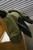 Med-Eng EOD 7B Suit - Large