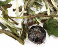 Premium white tea from Fujian region of China flavored with sweet blueberries. A wonderfully smooth and subtle treat, delectable both hot and cold. If you are beginning your exploration of white tea, our blueberry tea will serve a wonderful introduction.