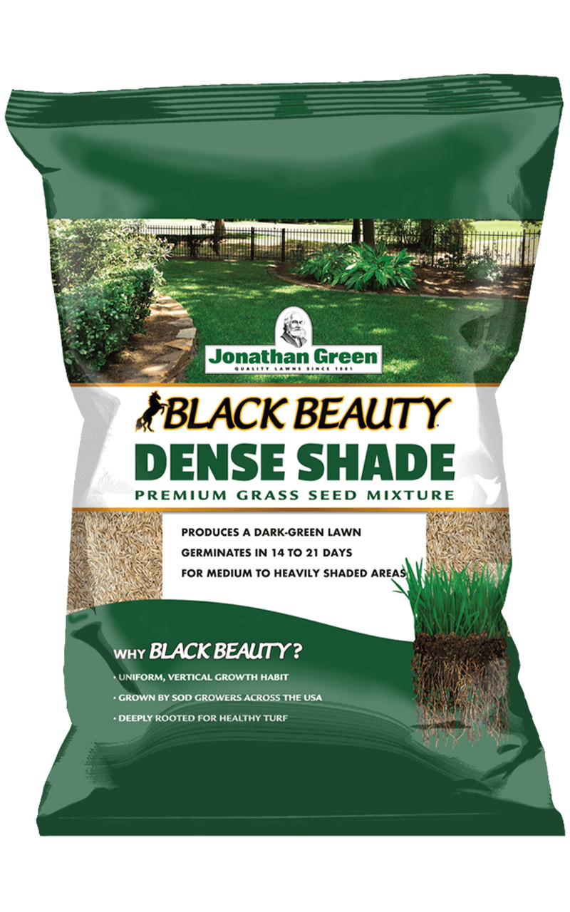 Jonathan Green Black Beauty Dense Shade Grass Seed Mixture, 3 lb