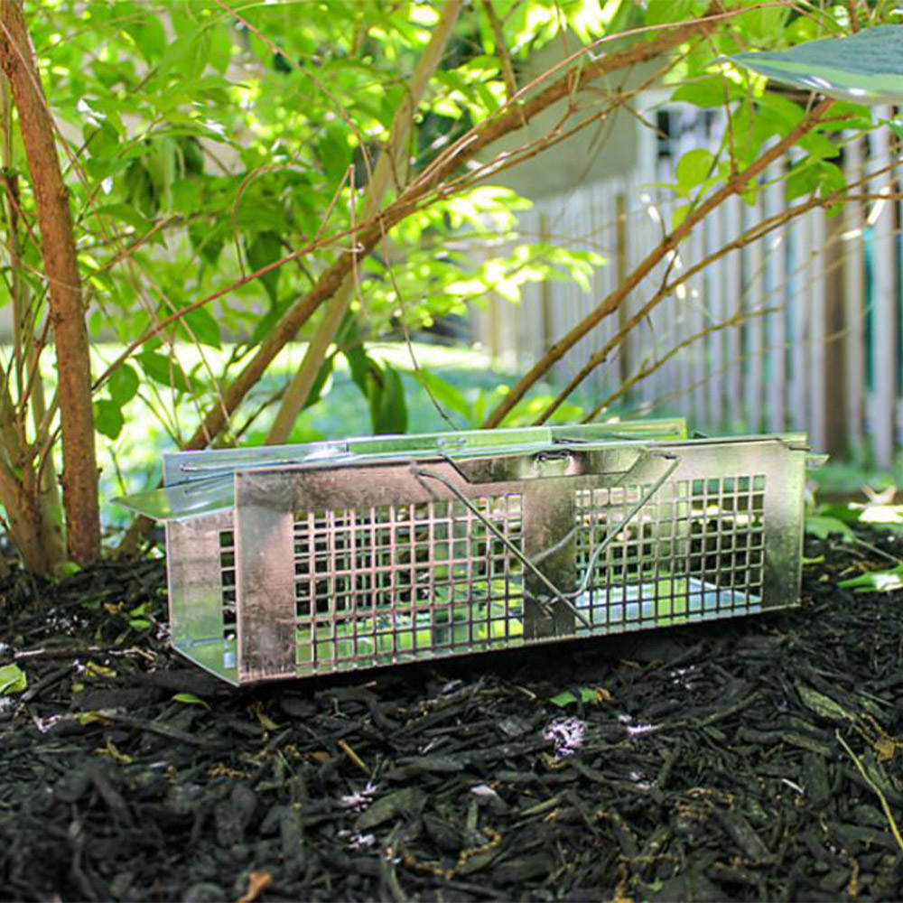 Havahart 2Door Professional Live Animal Cage Trap, Extra Small