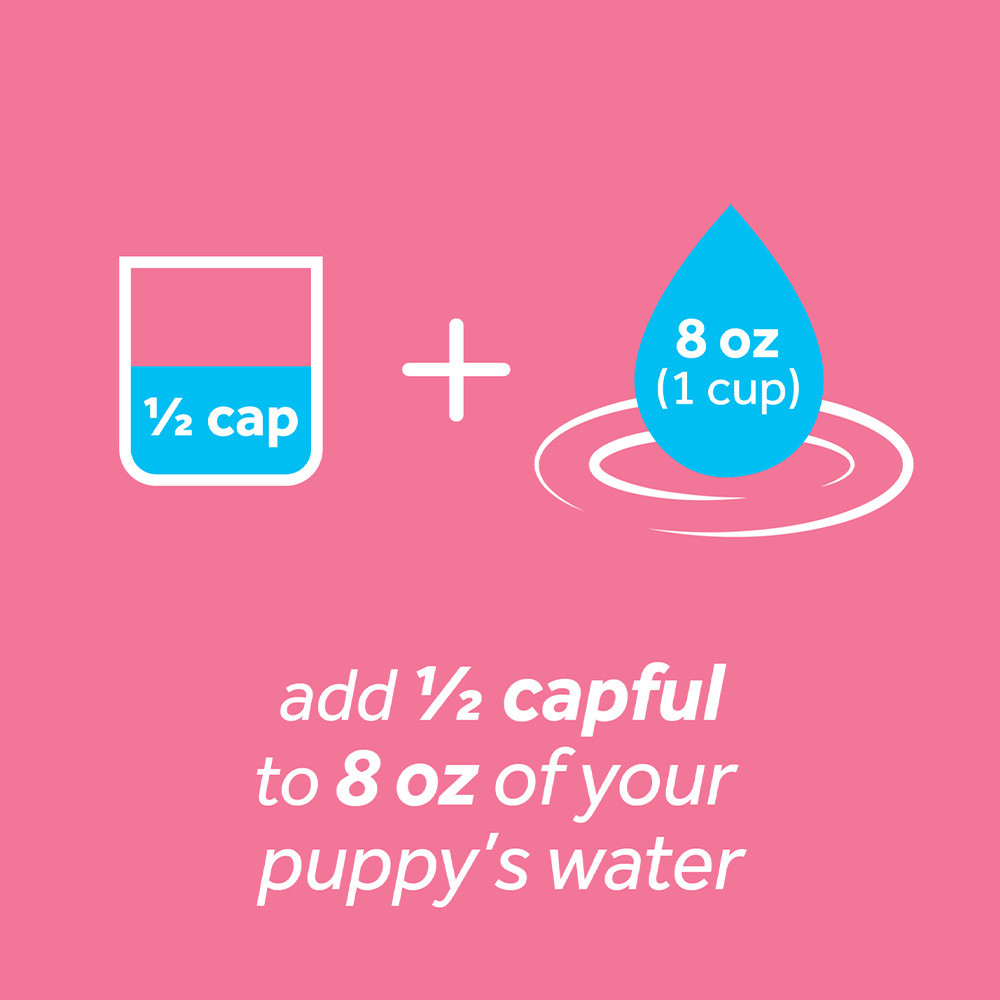 TropiClean Fresh Breath Dental Health Solution for Puppies, 16 oz