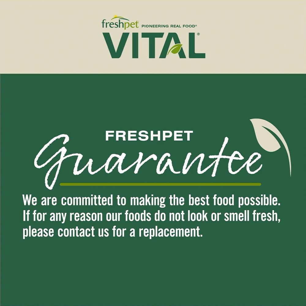 Freshpet Vital Balanced Nutrition GrainFree Beef & Bison Recipe Dog