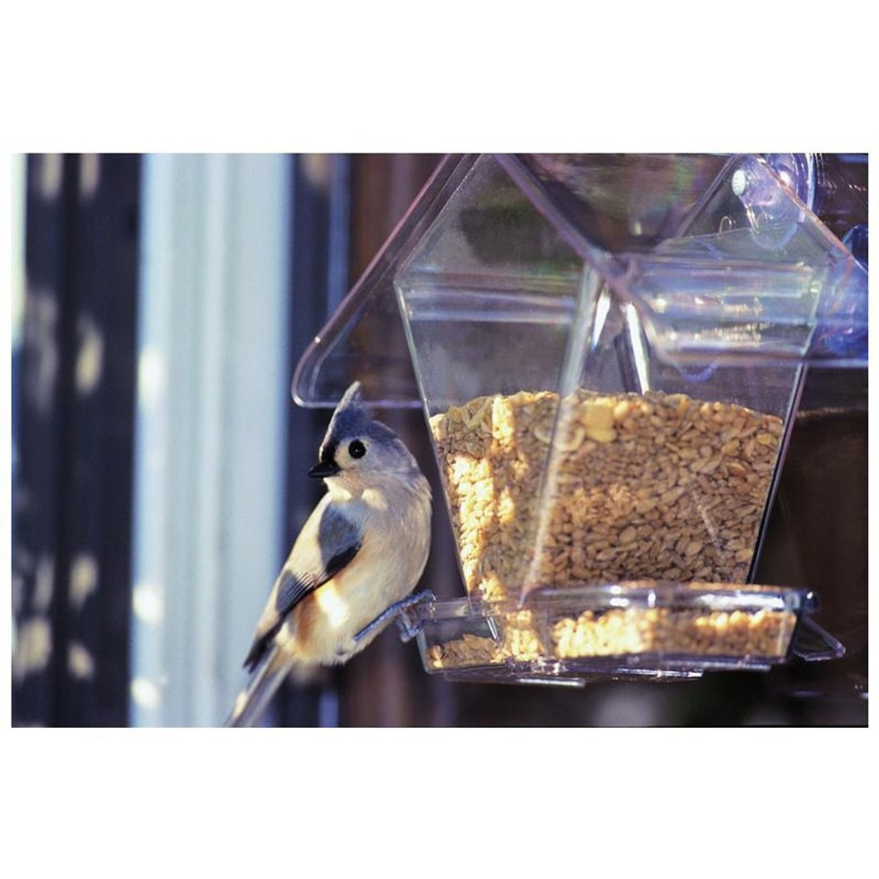 Aspects Window Cafe Bird Feeder