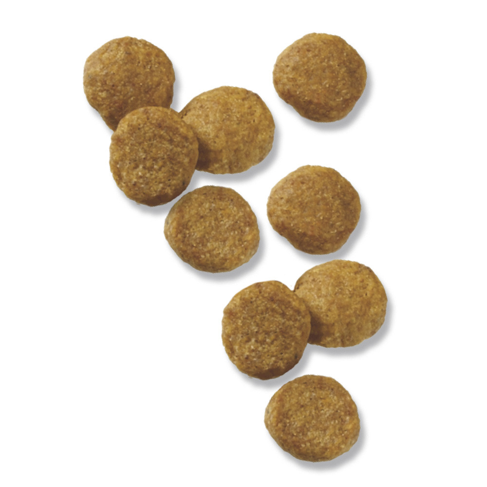 Purina Pro Plan Lamb & Rice Puppy Food, 18 lb