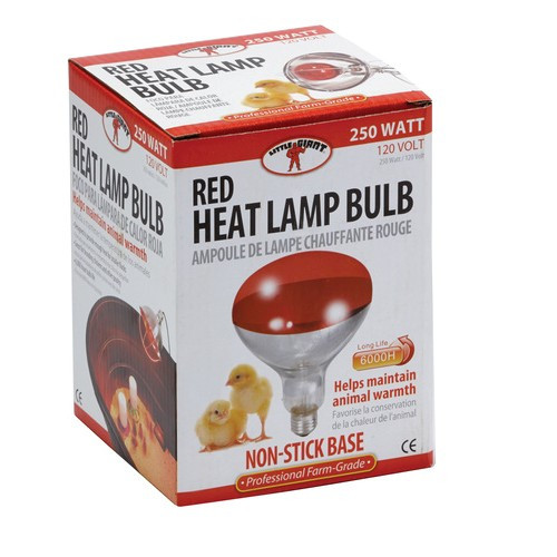 Little Giant Red Heat Lamp Bulb, 250 Watt - Smithland