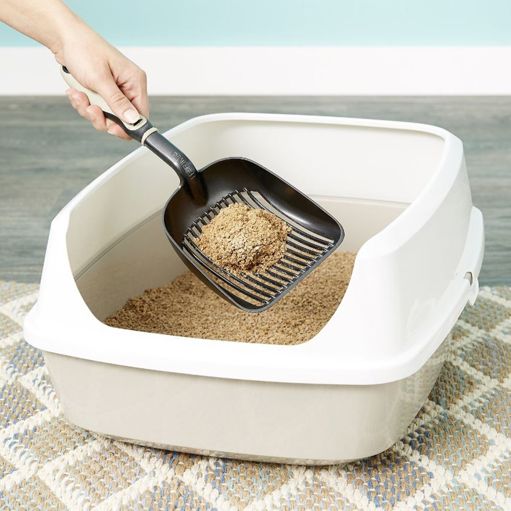 World's Best Picky Cat Unscented Clumping Corn Cat Litter, 12 lb