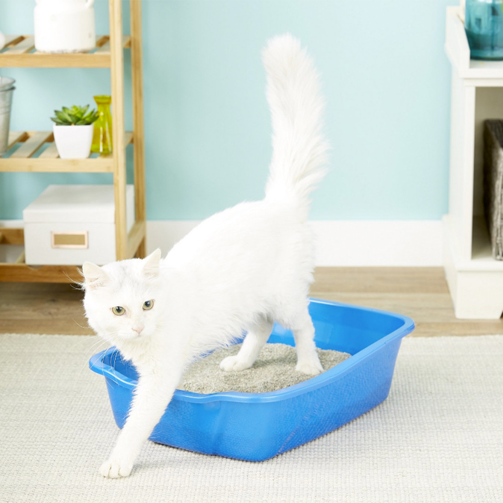 van ness medium litter pan