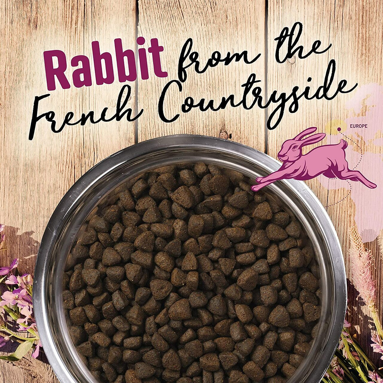 Earthborn Holistic Venture Rabbit Meal & Pumpkin Limited Ingredient