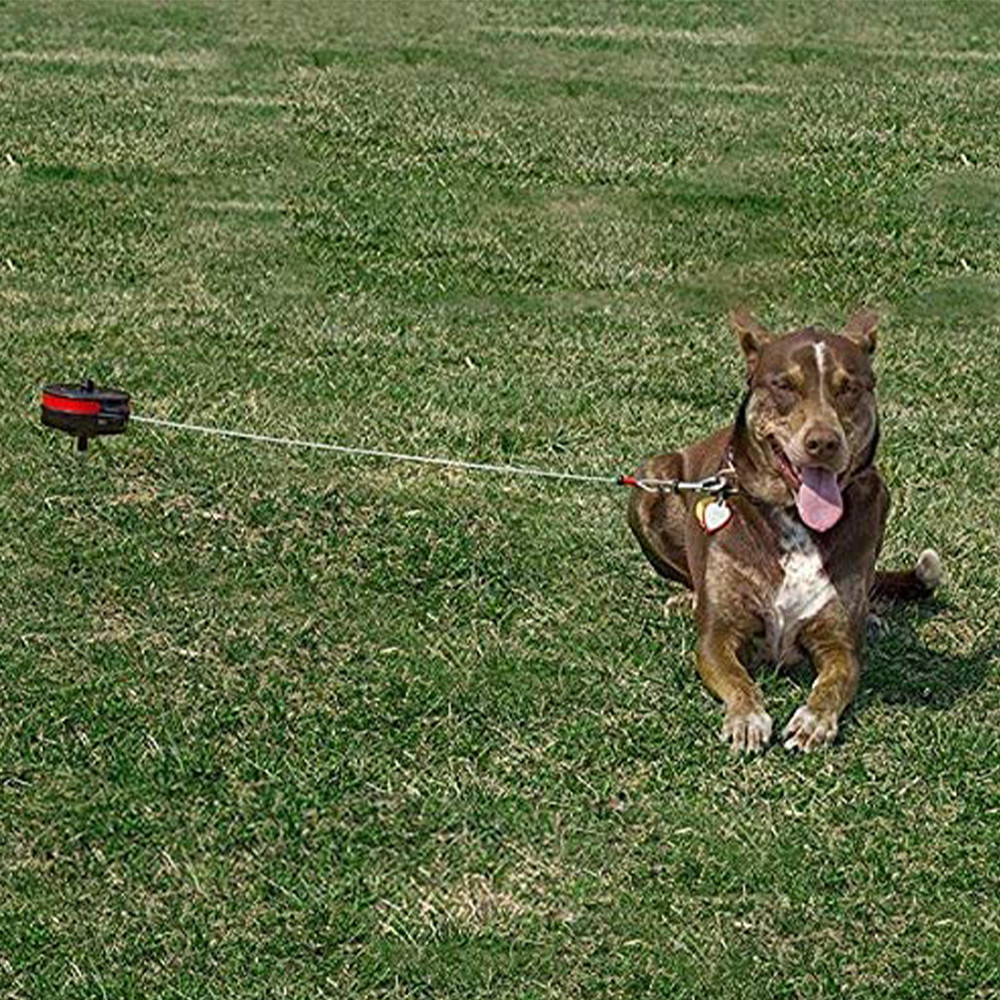 Lixit Retractable Cable Tie Out, Large